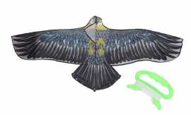 Létající drak orel modrý